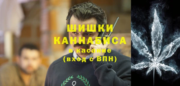 прущие грибы Абдулино