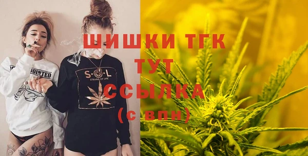 молекула духа Лихославль