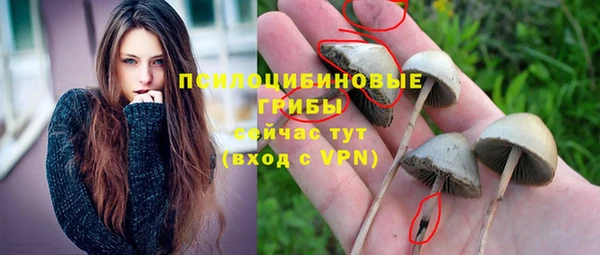прущие крисы Абаза