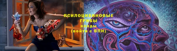 прущие грибы Абдулино